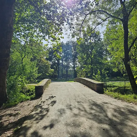Apartament Le Parc De Chezine 2